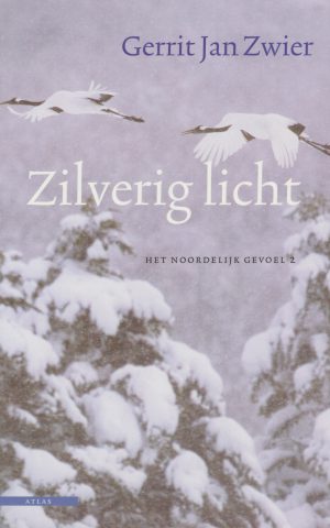 Zilverig licht