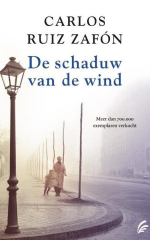De schaduw van de wind