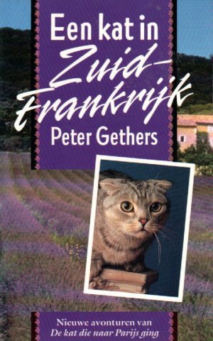 Een kat in Zuid-Frankrijk