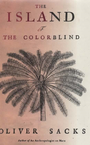 The Island of the Colorblind