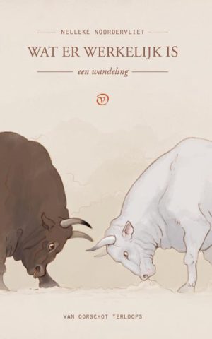 Wat er werkelijk is - een wandeling -