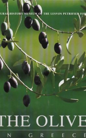 The Olive in Greece