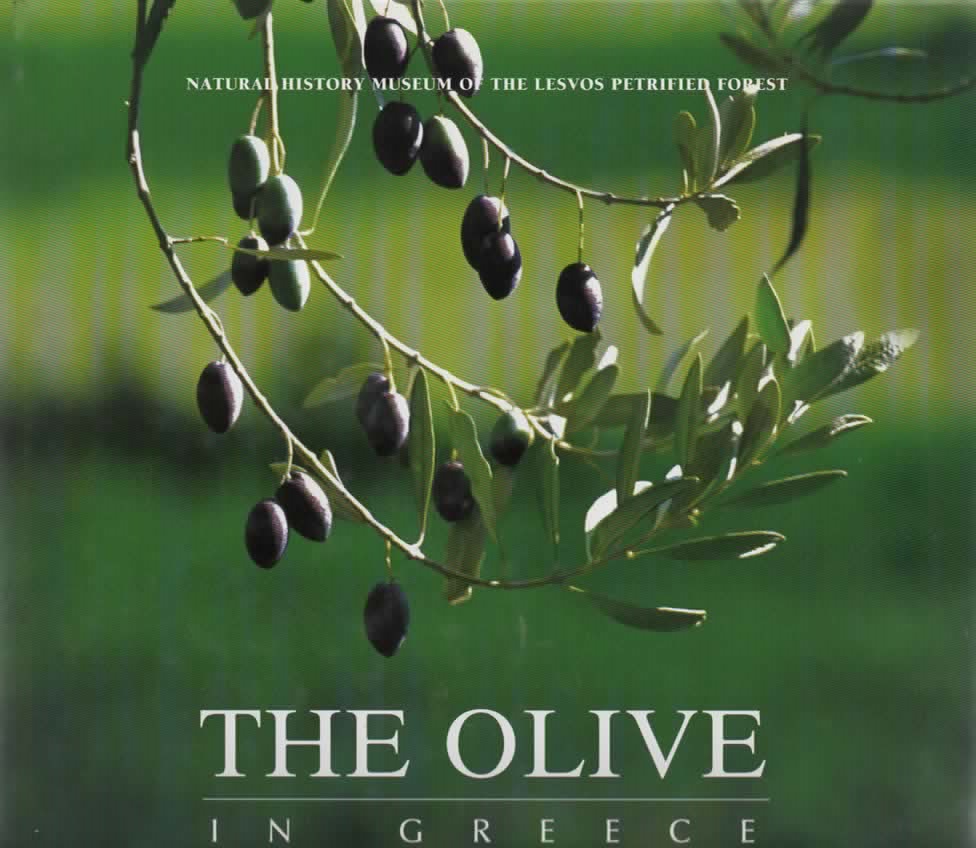 The Olive in Greece Reisboek.nl