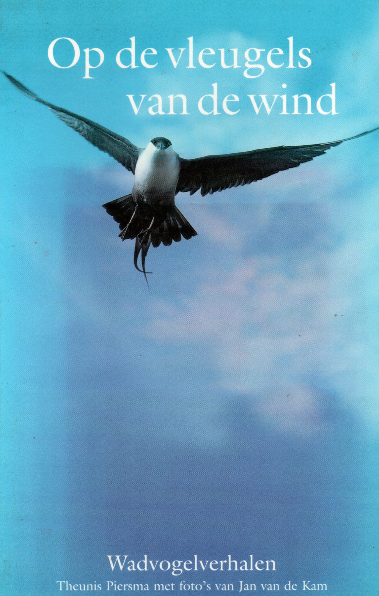 Op de vleugels van de wind Wadvogelverhalen Reisboek.nl