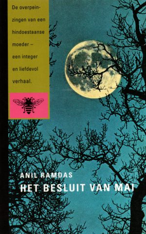 Het besluit van Mai - De overpeinzingen van een hindoestaanse moeder, een integer en liefdevol verhaal -