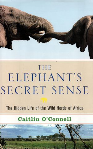 The Elephant's Secret Sense - The Hidden Life of the Wild Herds of Africa -