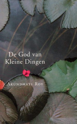 De God van Kleine Dingen