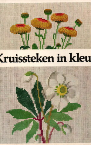 Kruissteken in kleur - Patronen voor place-mats, tafelkleden, wandkleedjes, kussens, enz. -