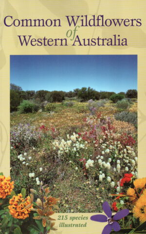 Common Wildflowers of Western Australia - 215 species illustrated -