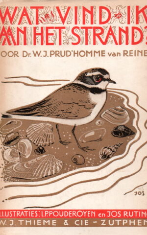 Wat vind ik aan het strand?