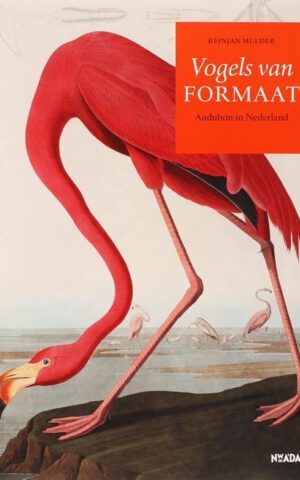 Vogels van formaat - Audubon in Nederland -