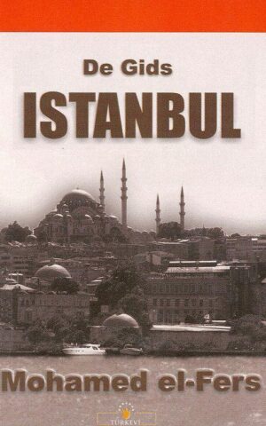 Istanbul - De Gids -