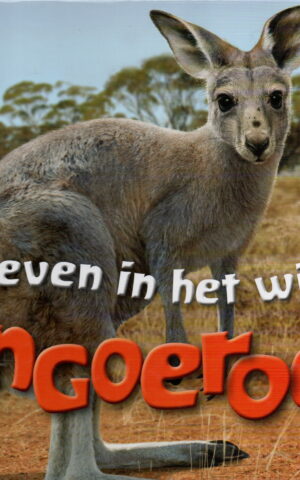 Mijn leven in het wild - Kangoeroe -