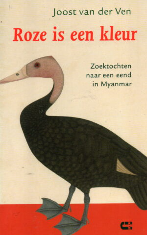 Roze is een kleur - Zoektochten naar een eend in Myanmar -