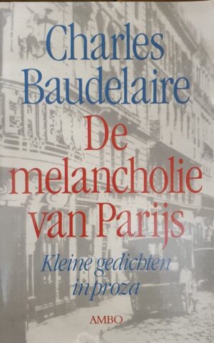 De melancholie van Parijs - Kleine gedichten in proza -