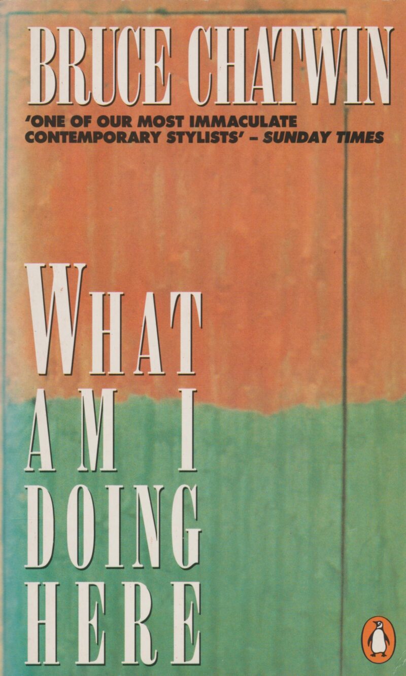 What am I doing here