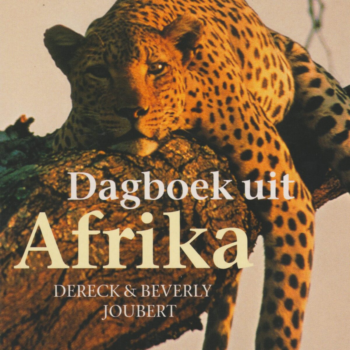 Dagboek uit Afrika