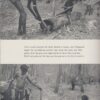 Piccaninny Walkabout - A Story of Two Aboriginal Children -
