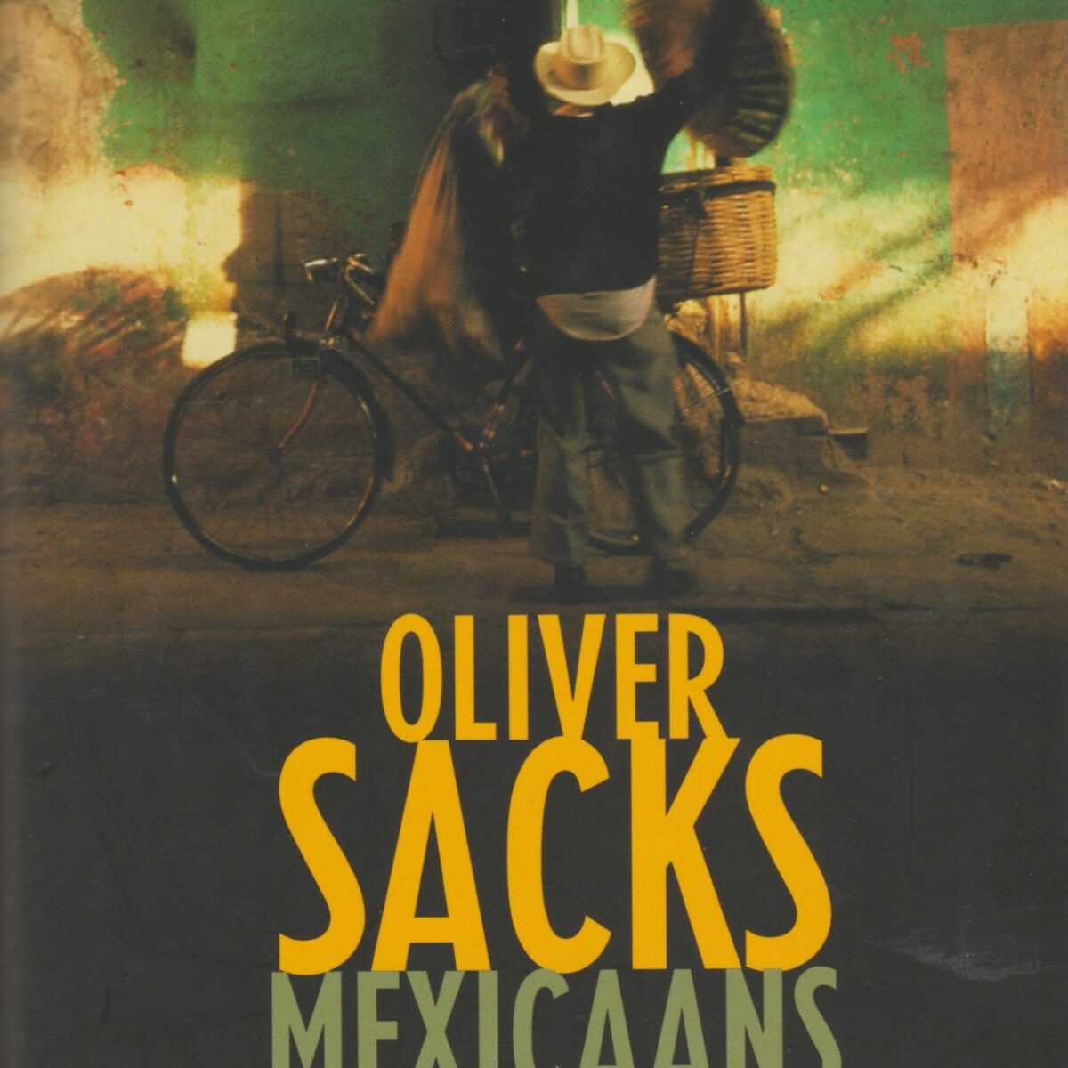Mexicaans dagboek