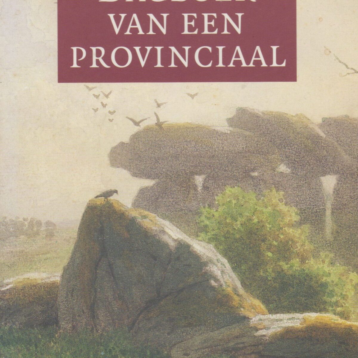 Dagboek van een provinciaal