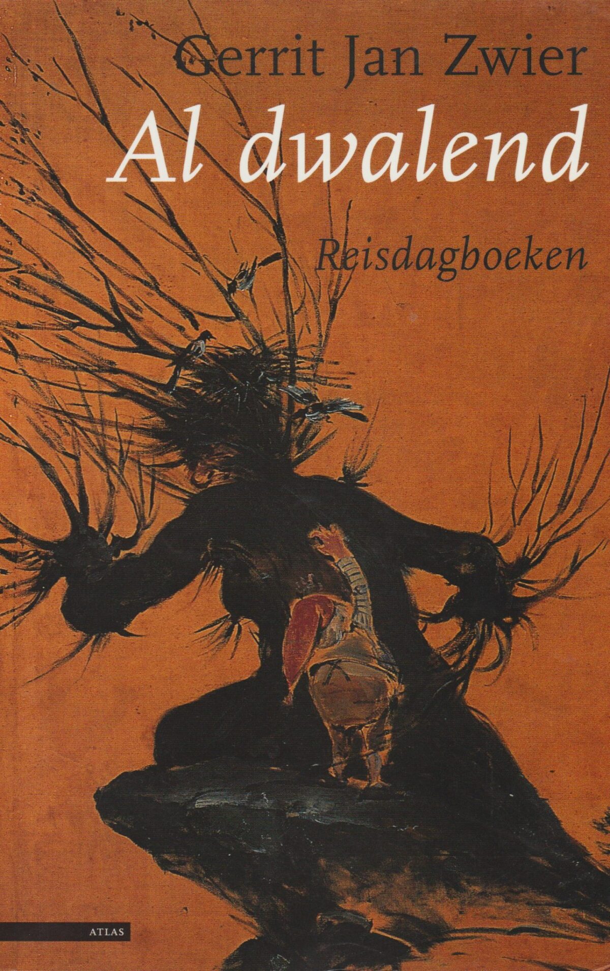 Al dwalend - Reisdagboeken -