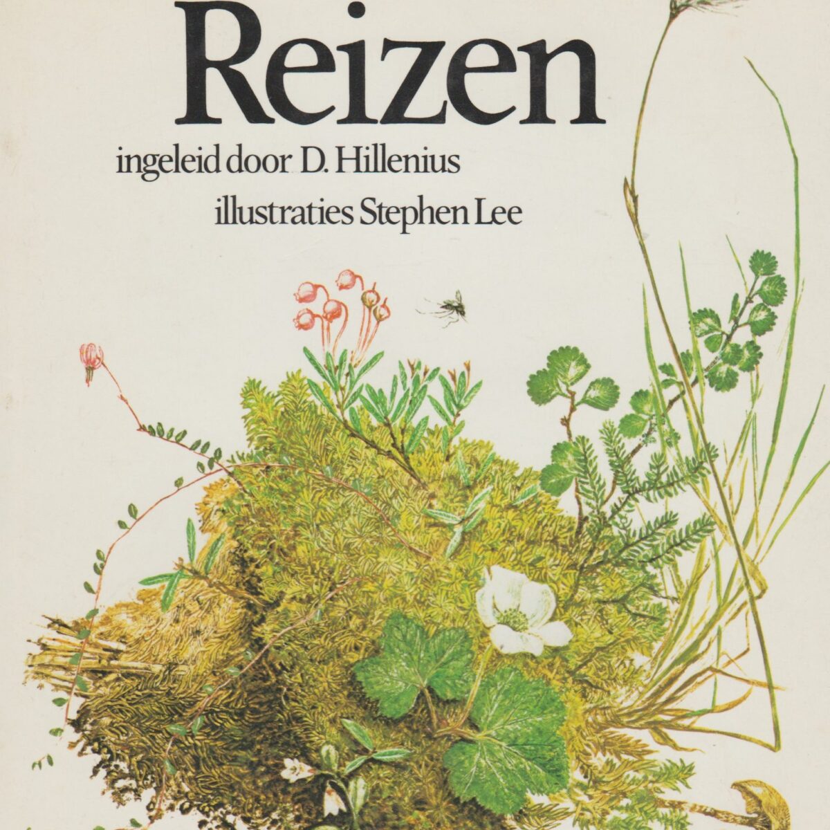 Carolus Linnaeus - Reizen -