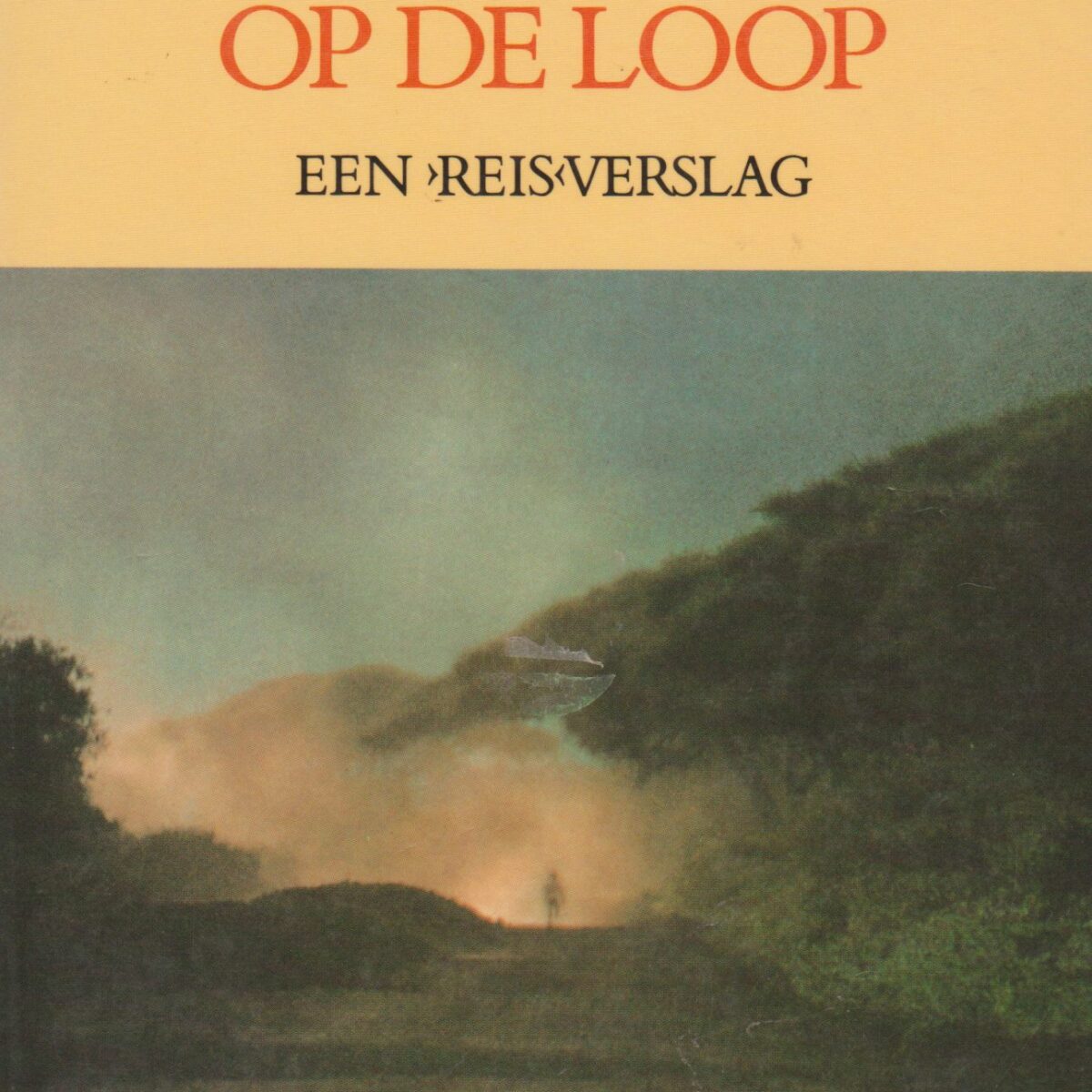 Blanke jongen op de loop