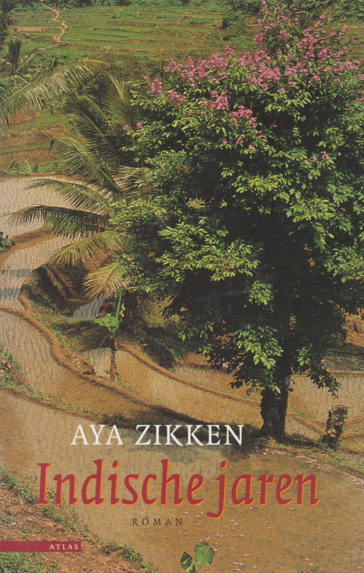 Indische jaren - Het verhaal van Tjitsaroea -