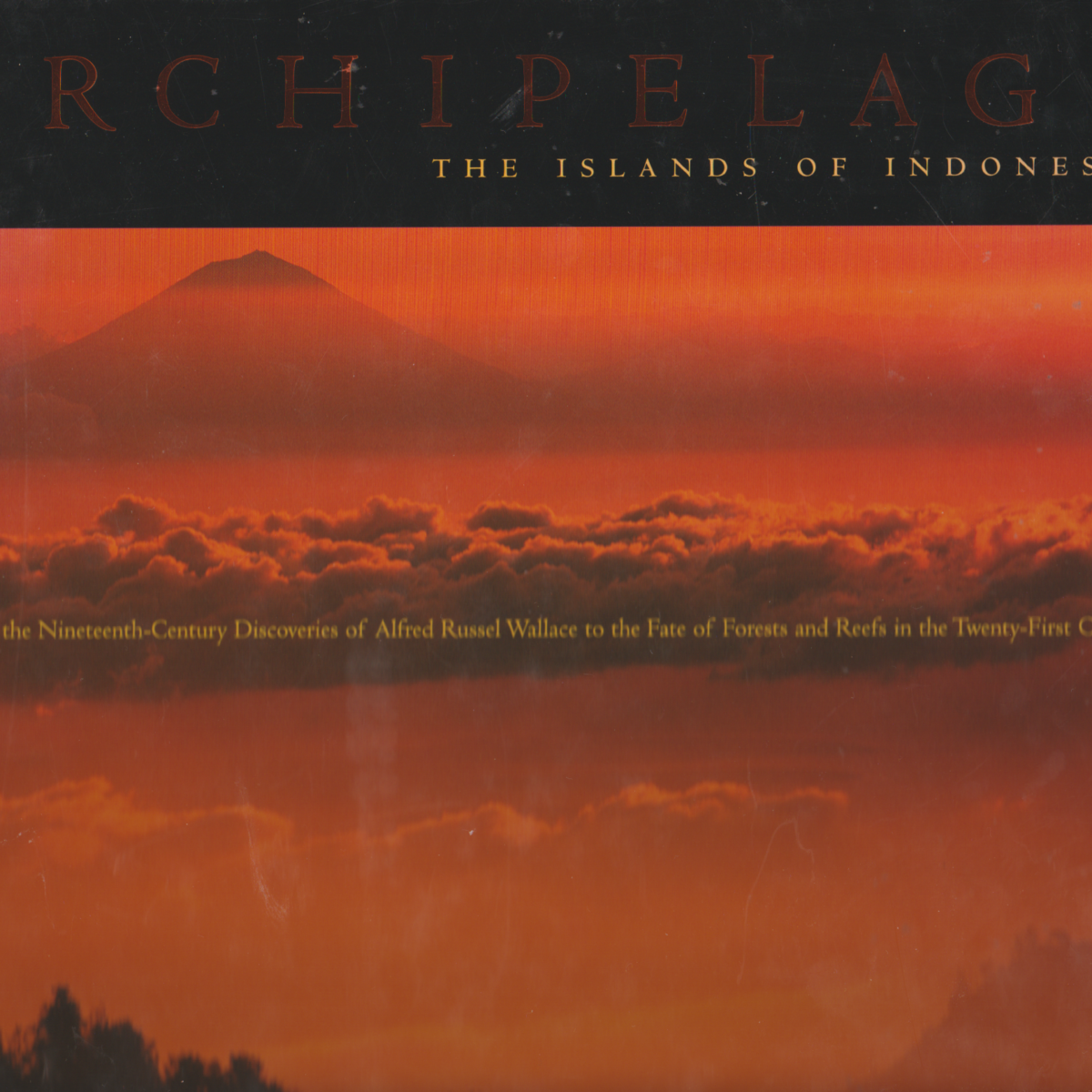 Archipelago - The Islands of Indonesia - - From the Nineteenth-Century Discoveries of Alfred Russel Wallace to the Fate of Forests and Reefs in the Twenty-First Century -