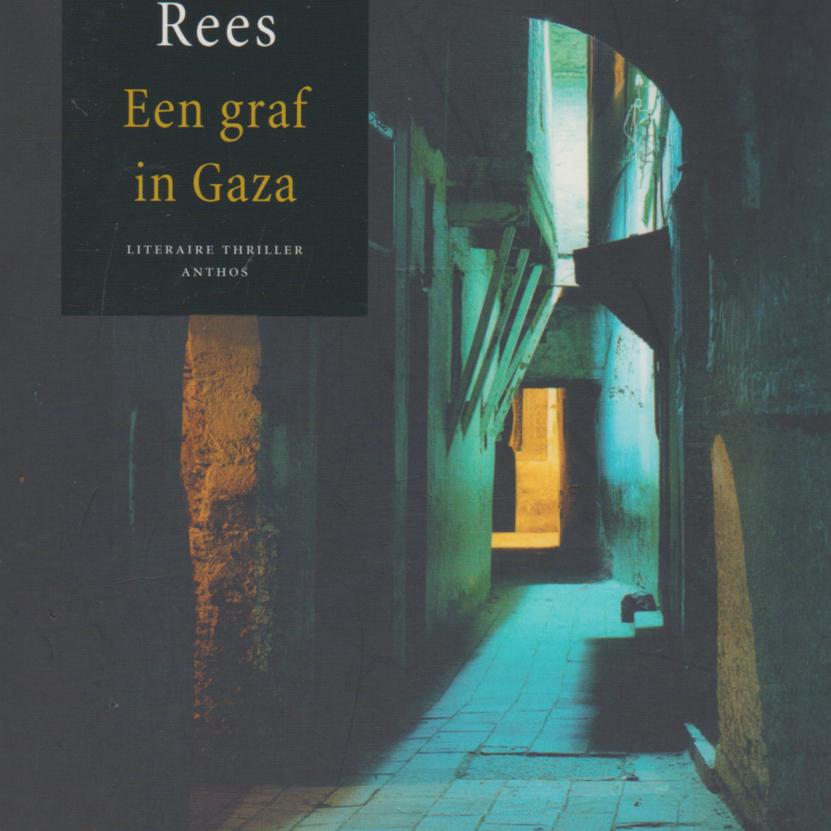 Een graf in Gaza - literaire thriller -