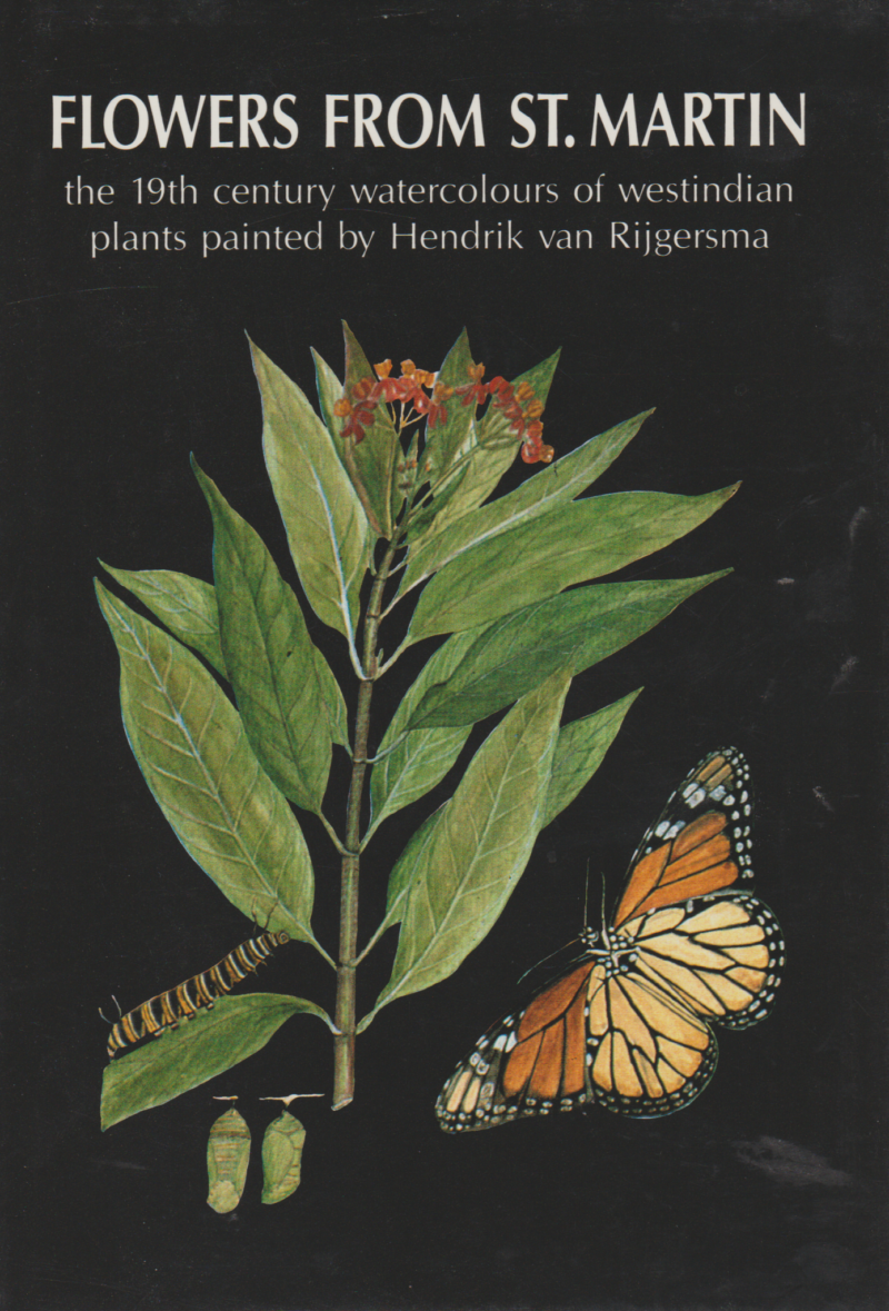 Flowers from St. Martin