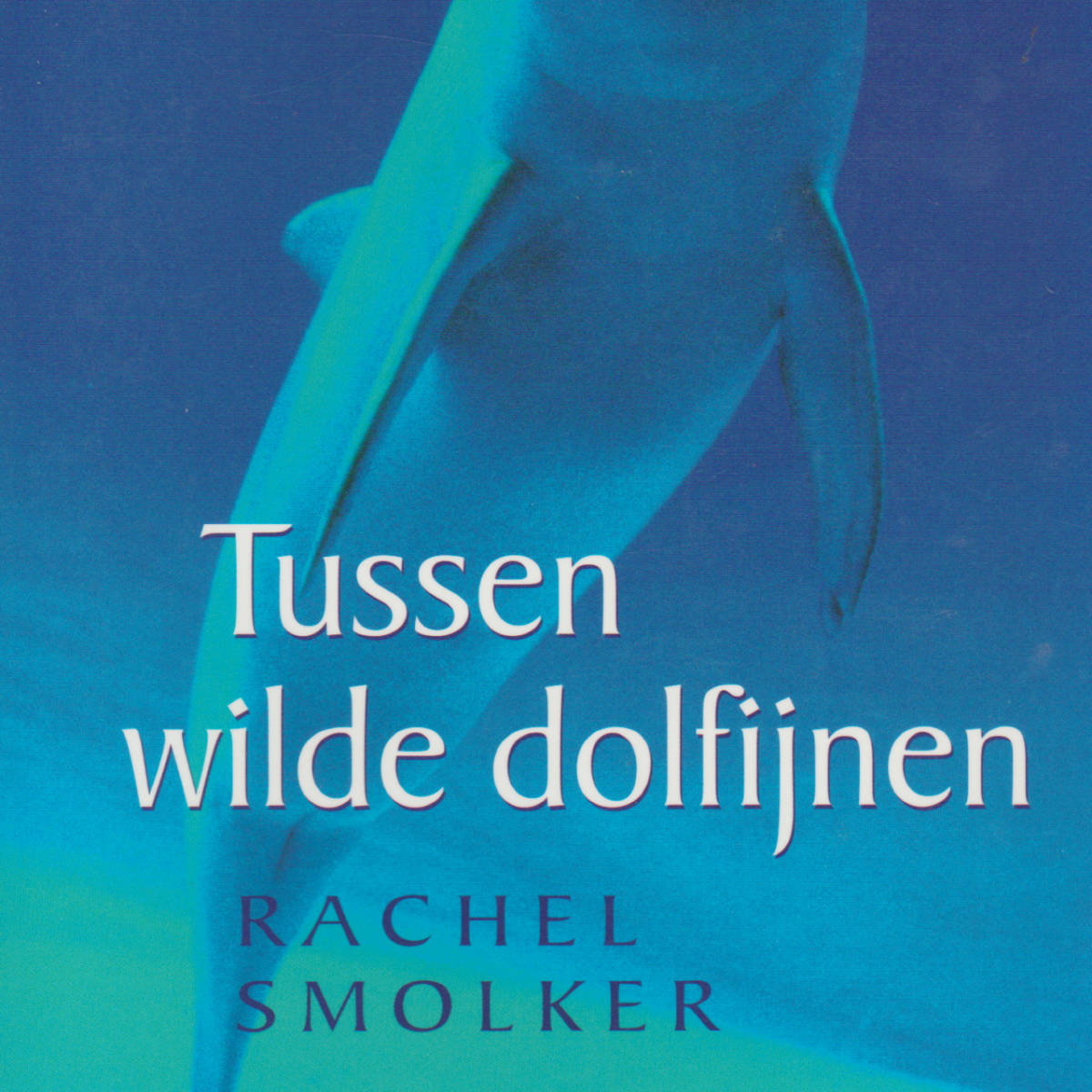 Tussen wilde dolfijnen