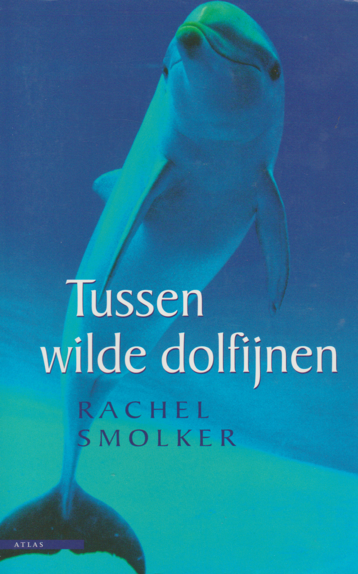 Tussen wilde dolfijnen