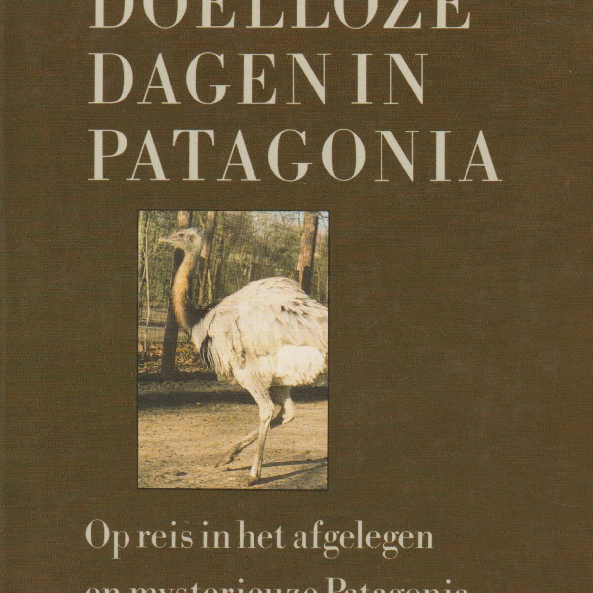 Doelloze dagen in Patagonia - Op reis in het afgelegen en mysterieuze Patagonia, Zuid Amerika -