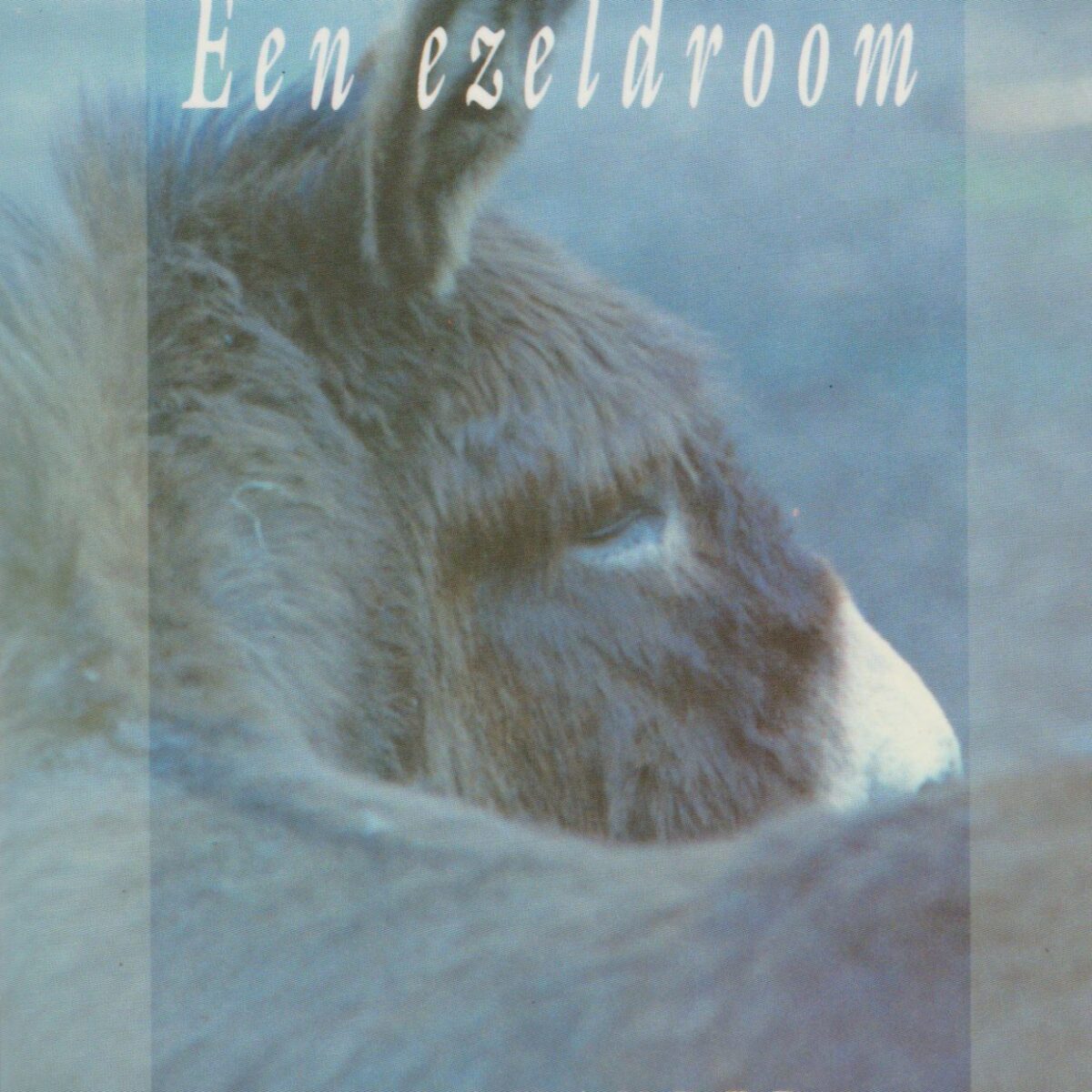 Een ezeldroom