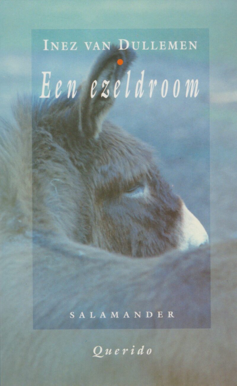 Een ezeldroom