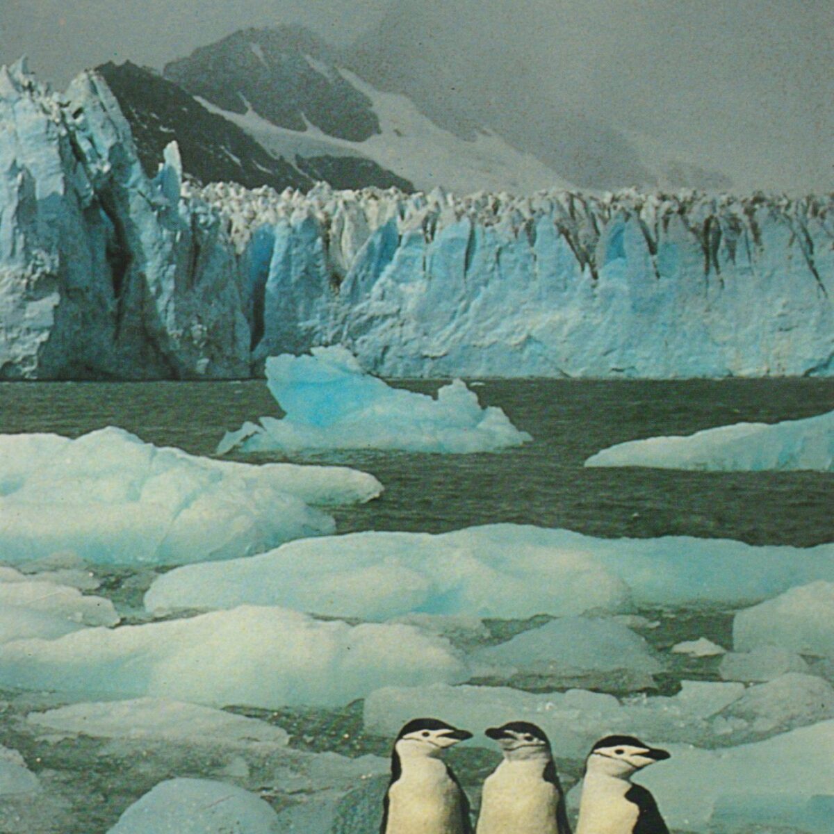 Of Ice and Men - The Story of the British Antarctic Survey 1943-73 -