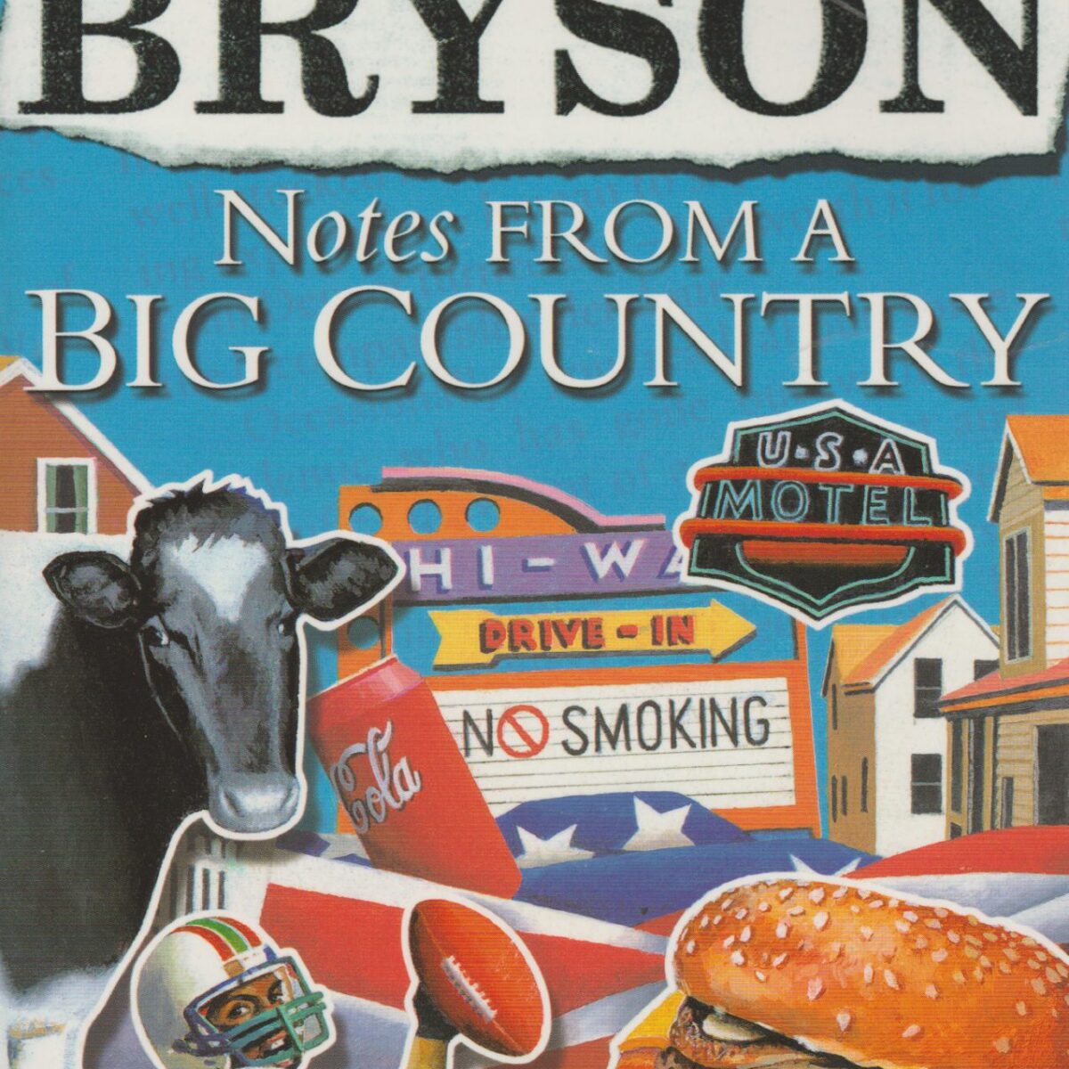 Notes from a big country