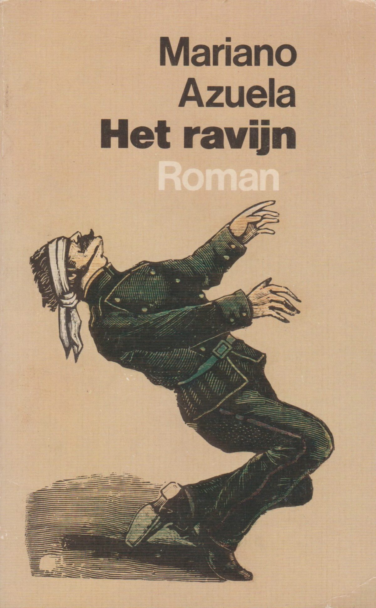 Het ravijn
