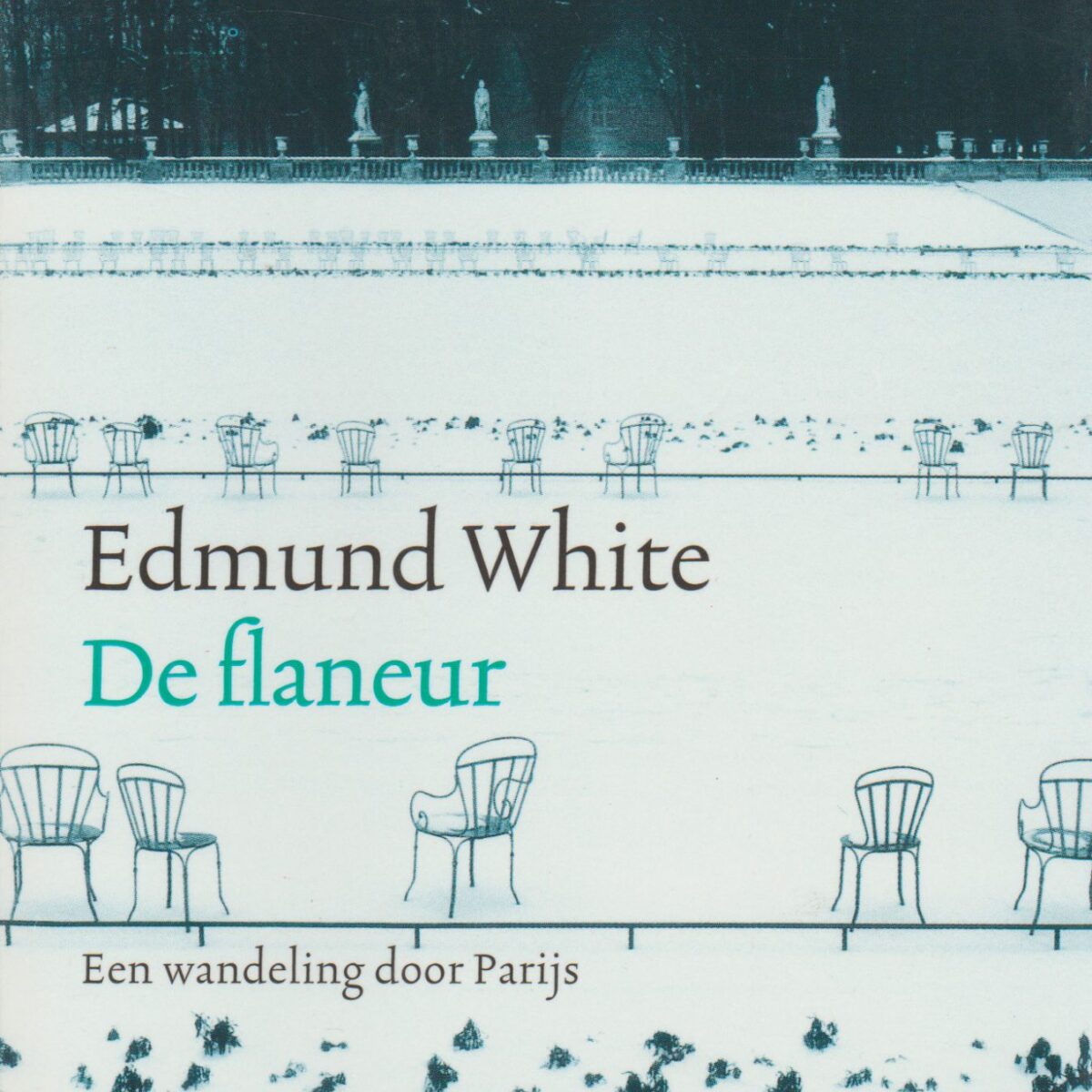 De flaneur - Een wandeling door Parijs -