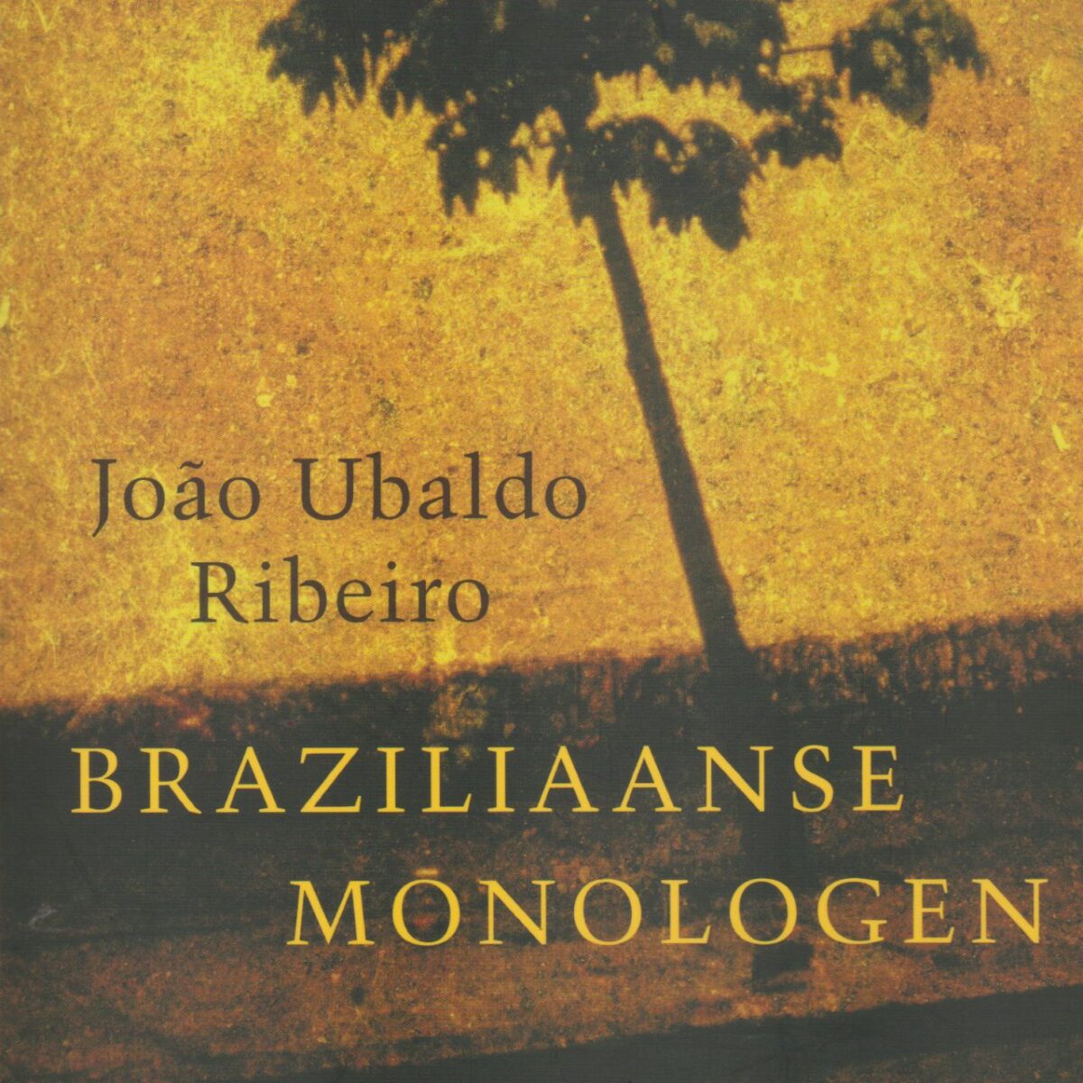 Braziliaanse monologen
