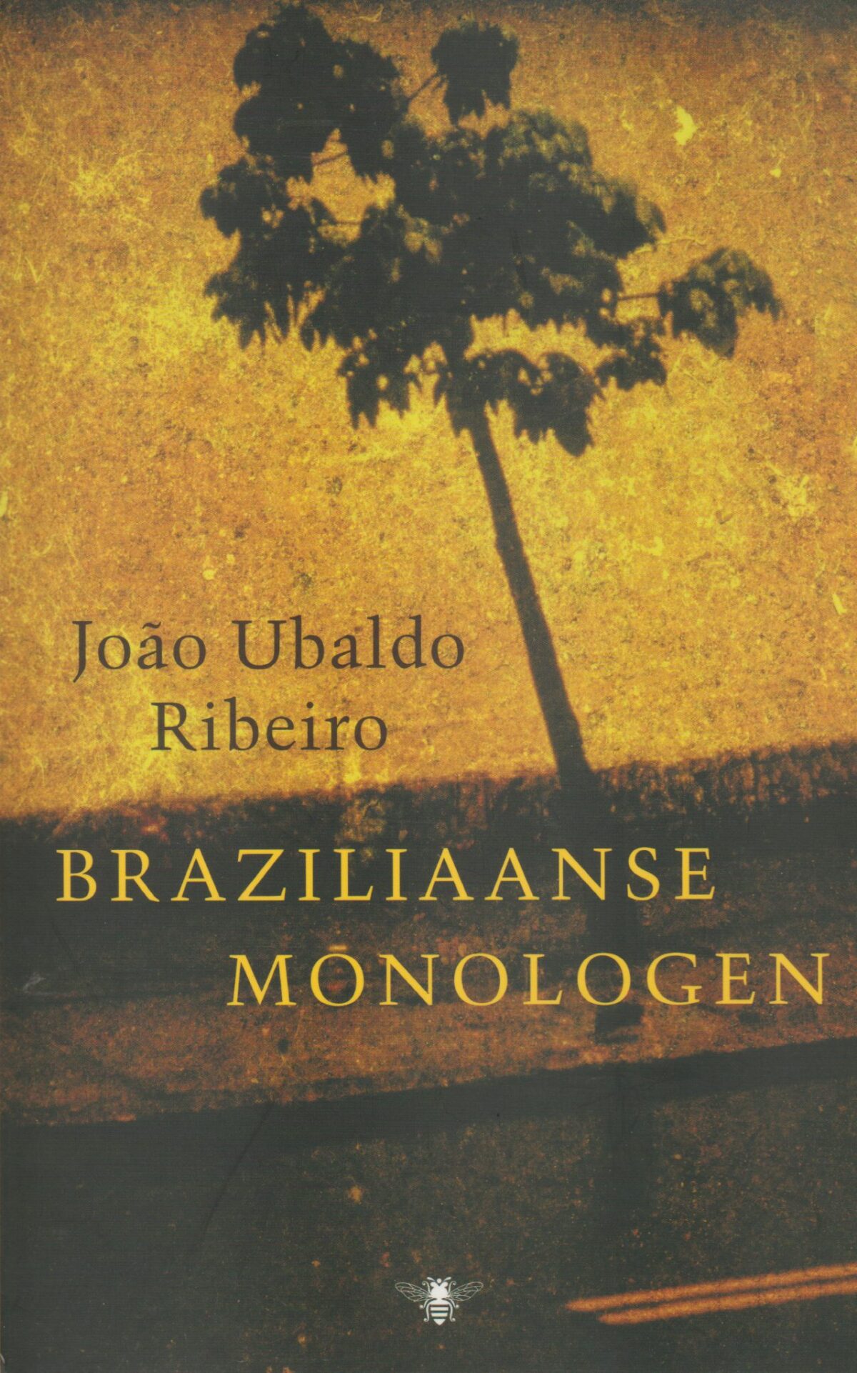 Braziliaanse monologen