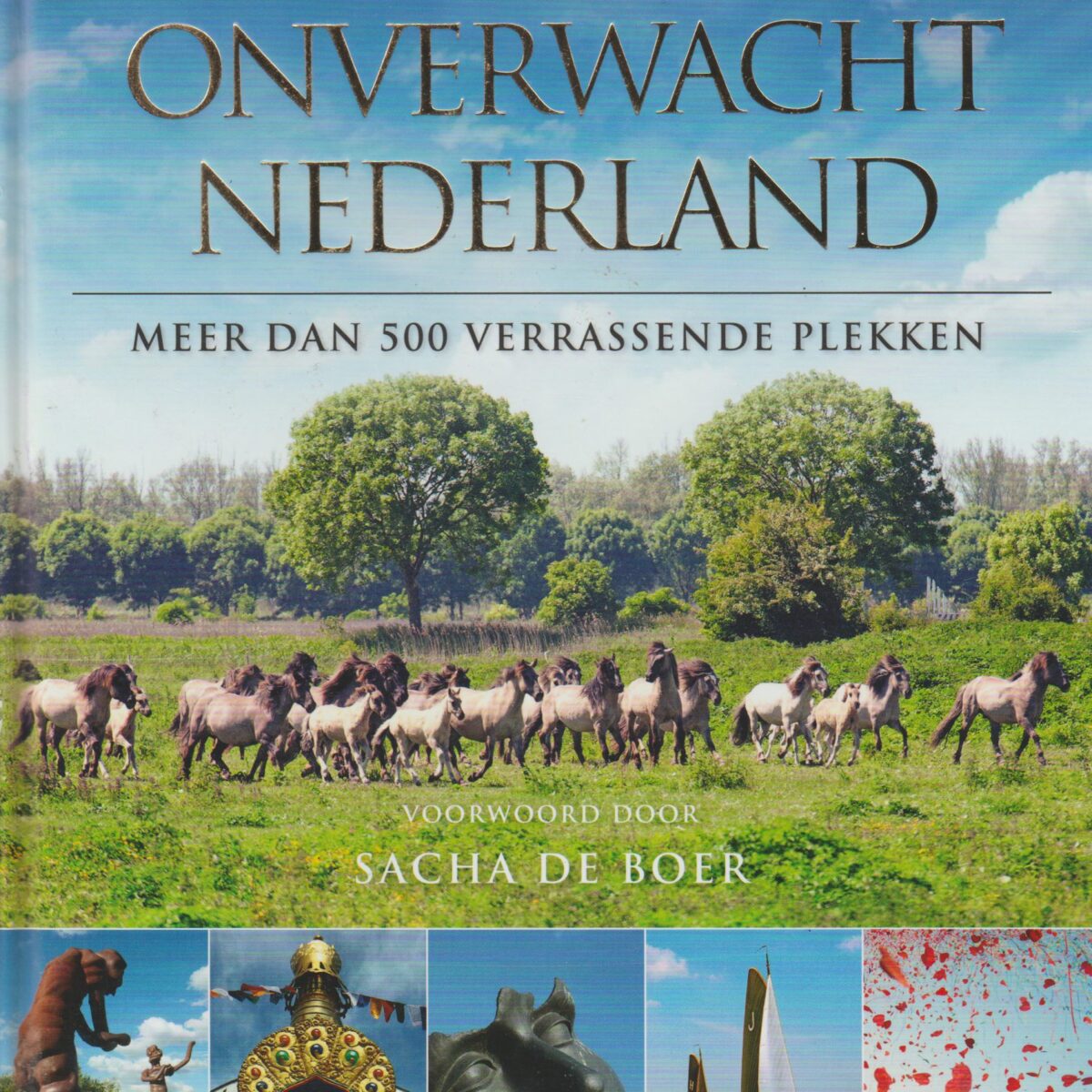 Onverwacht Nederland - meer dan 500 verrassende plekken -