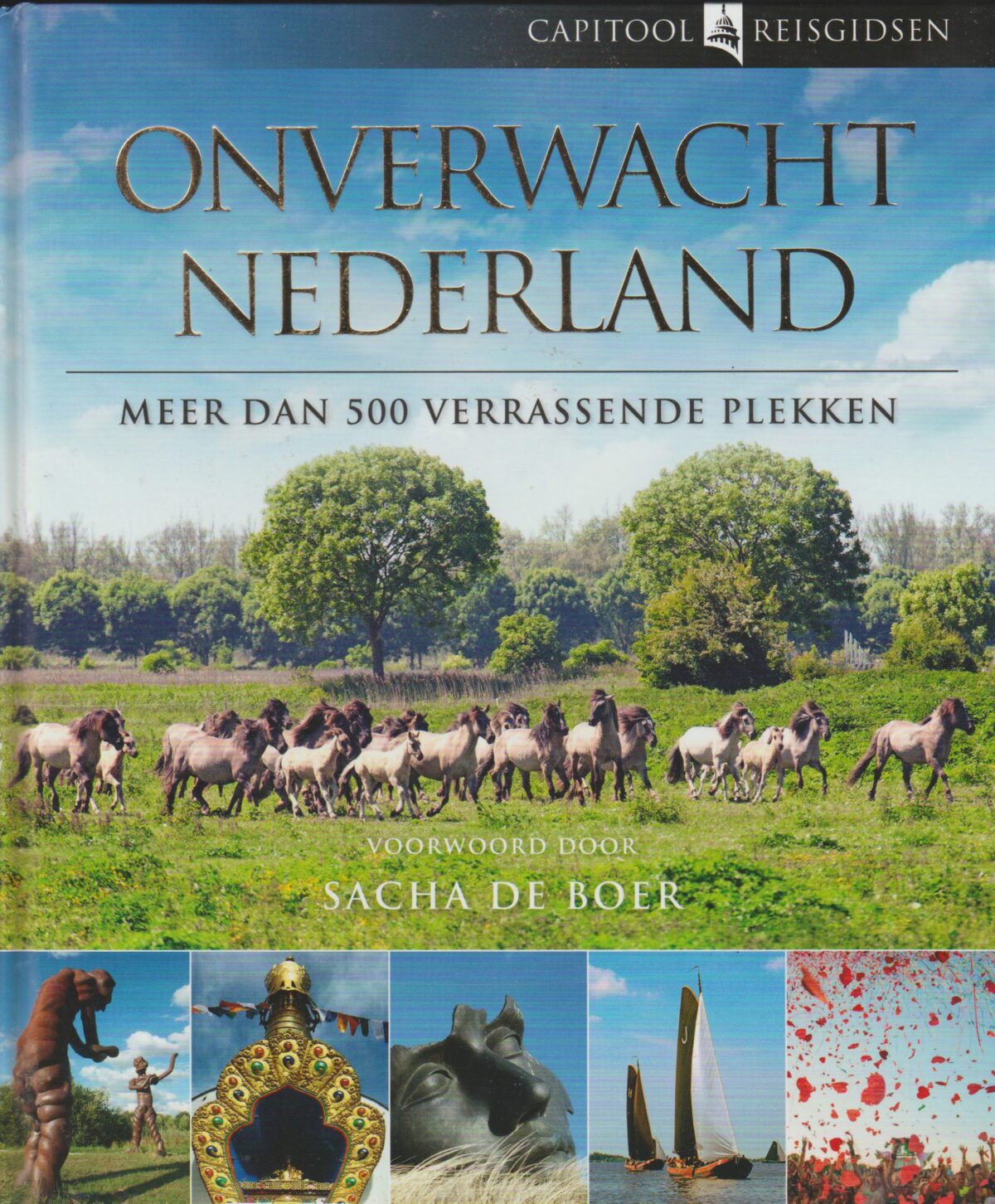 Onverwacht Nederland - meer dan 500 verrassende plekken -