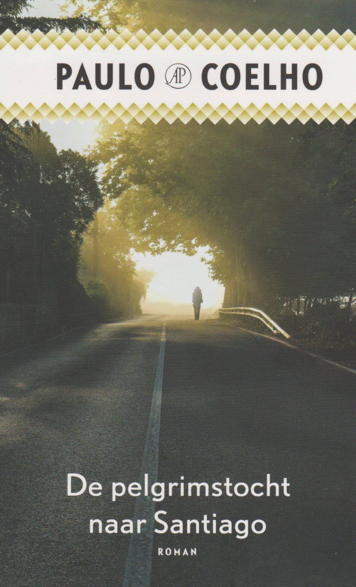 De pelgrimstocht naar Santiago - Dagboek van een magiër -