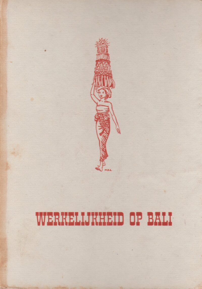 Werkelijkheid op Bali