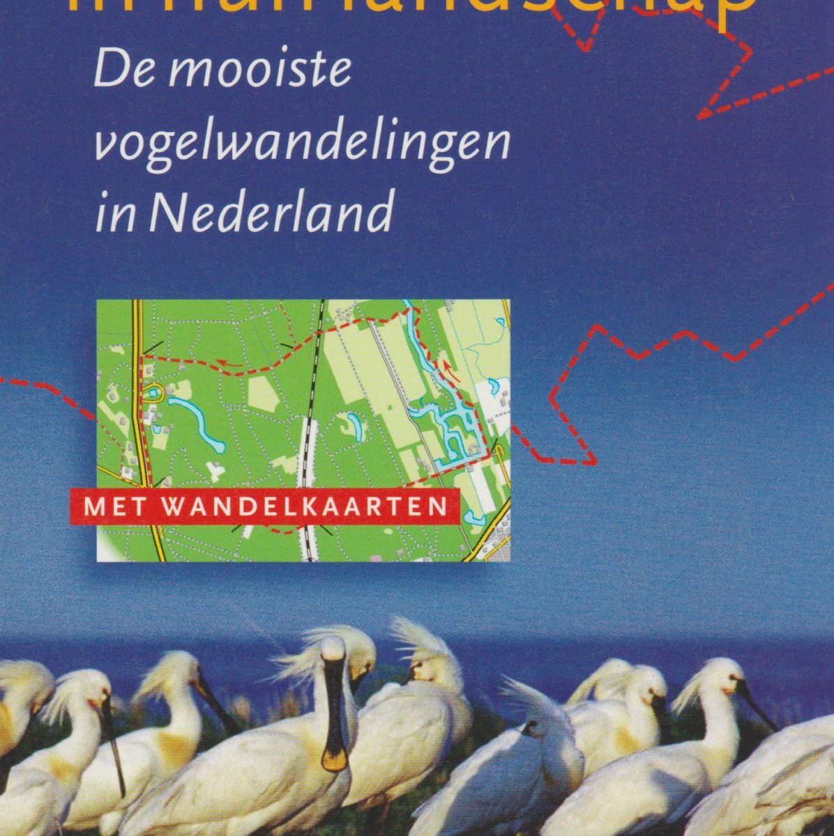 Vogels in hun landschap - De mooiste vogelwandelingen in Nederland -
