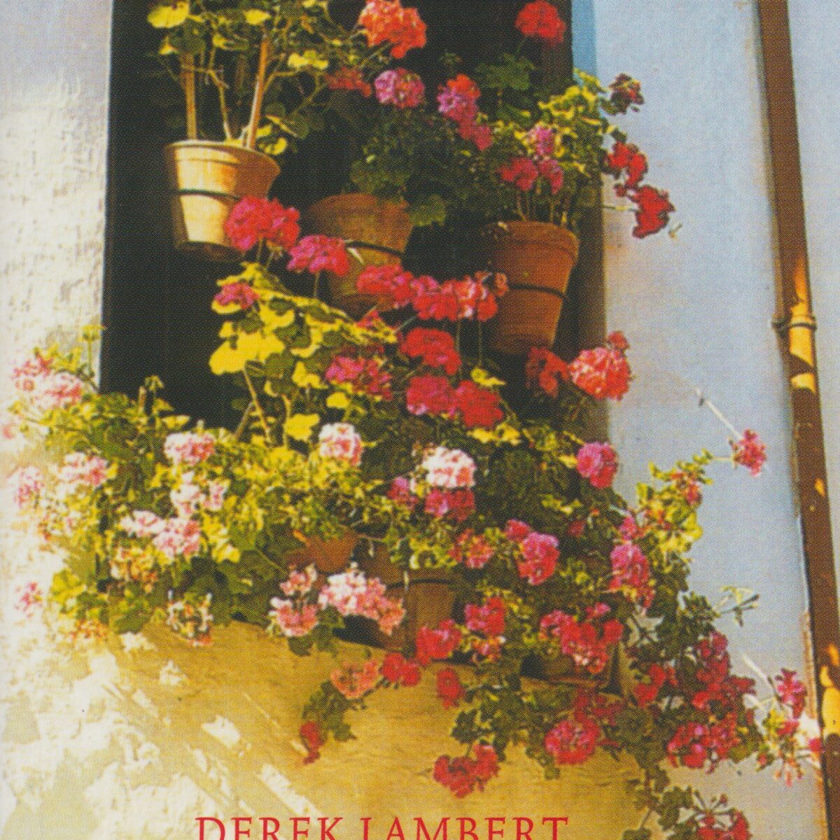 Spaanse lessen - Verslag van een cultuurshock -