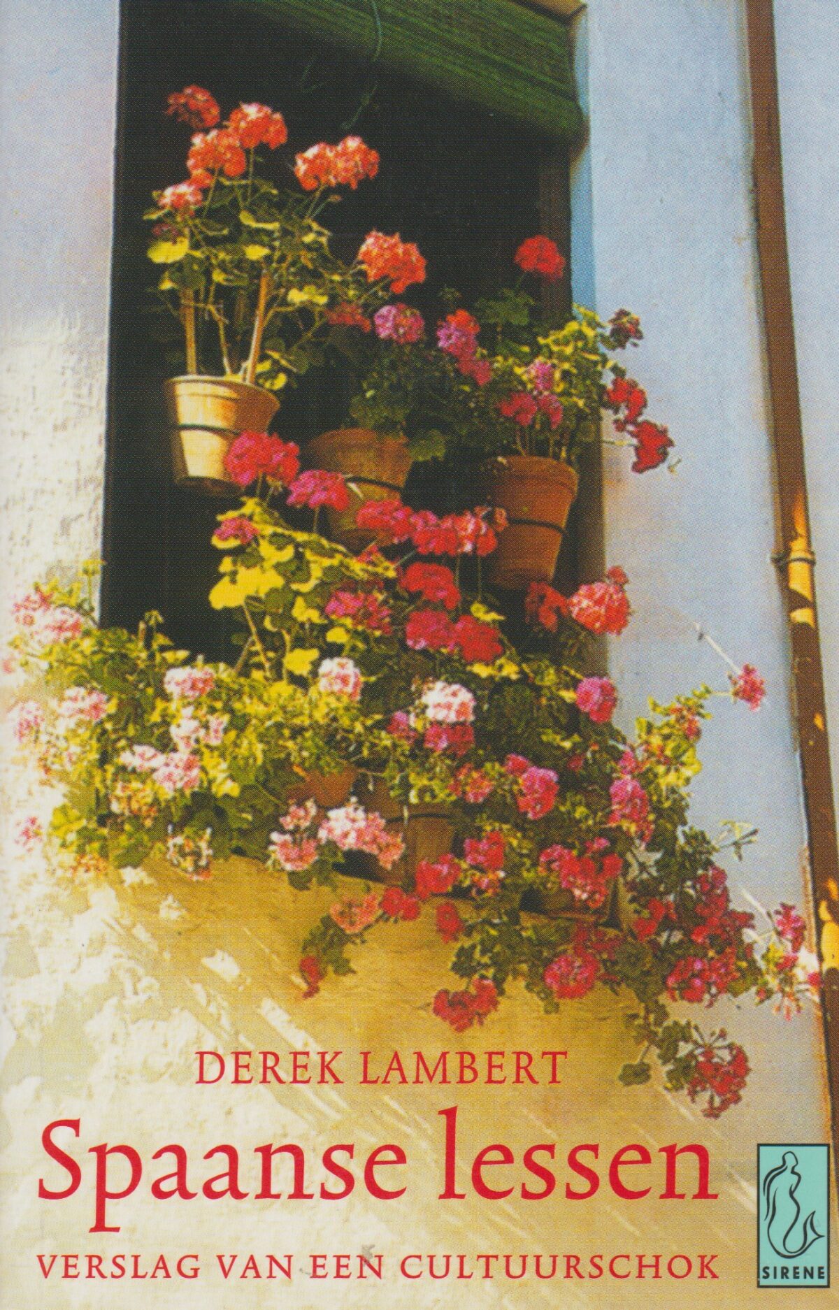 Spaanse lessen - Verslag van een cultuurshock -