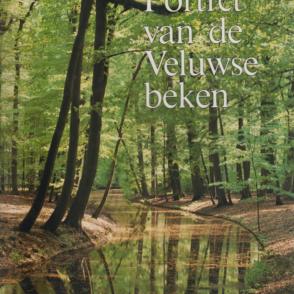 Portret van de Veluwse beken